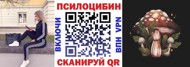 дарнет шоп  Артёмовский  Галлюциногенные грибы Psilocybine cubensis 